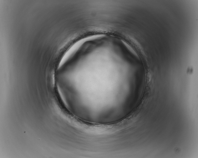 X0000114200020200910231354