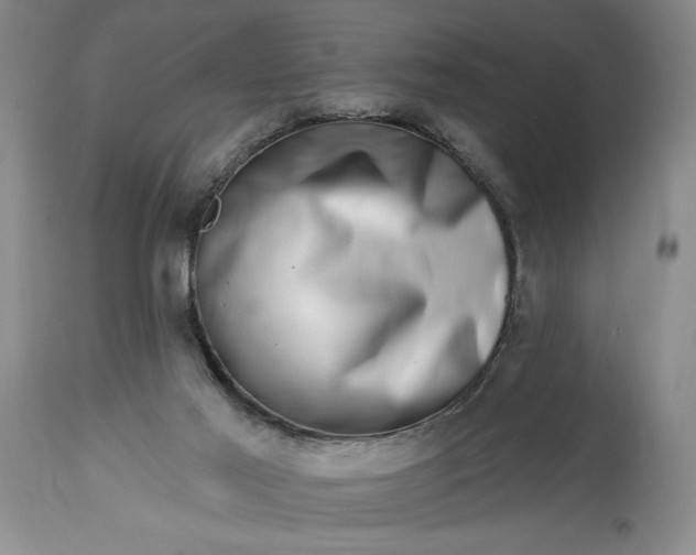 X0000114200021200910231354