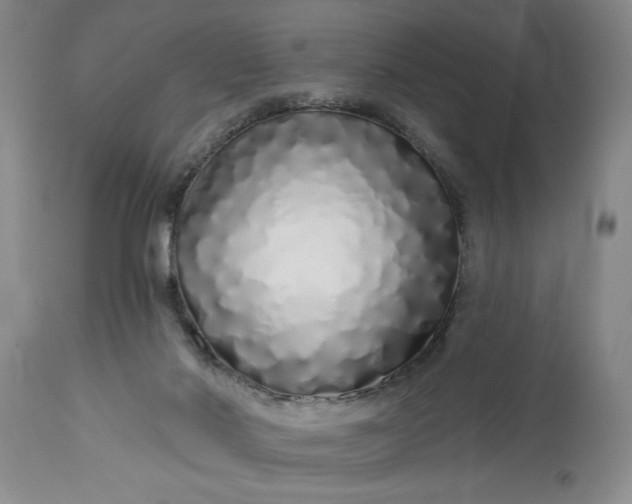 X0000114200022200910231354