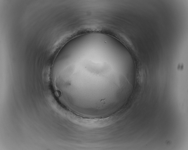 X0000114200023200910231354