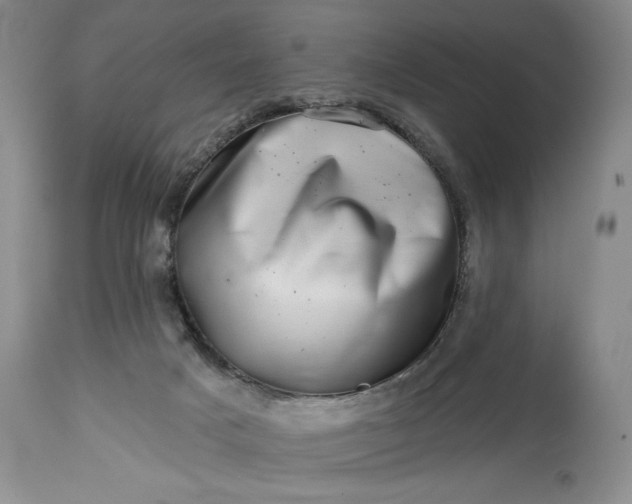 X0000114200025200910231354