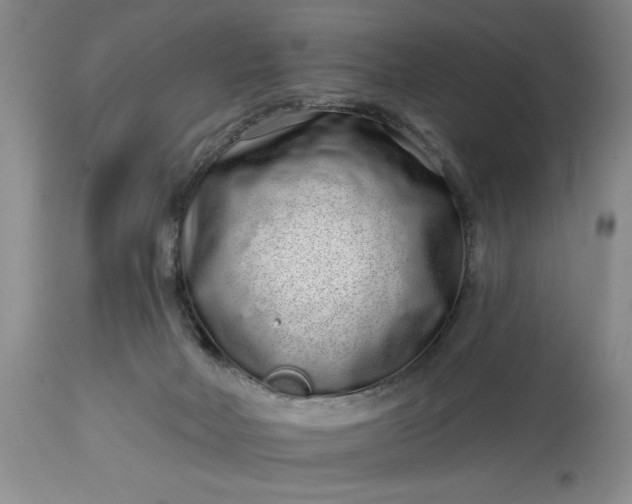 X0000114200026200910231354