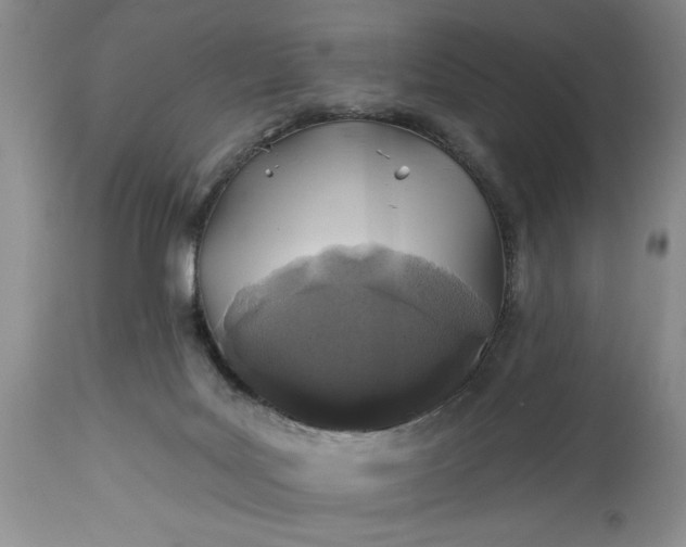 X0000114200027200910231354