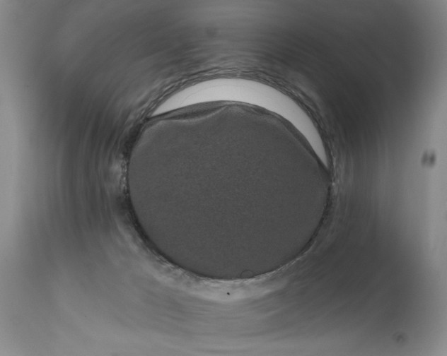 X0000114200029200910231354