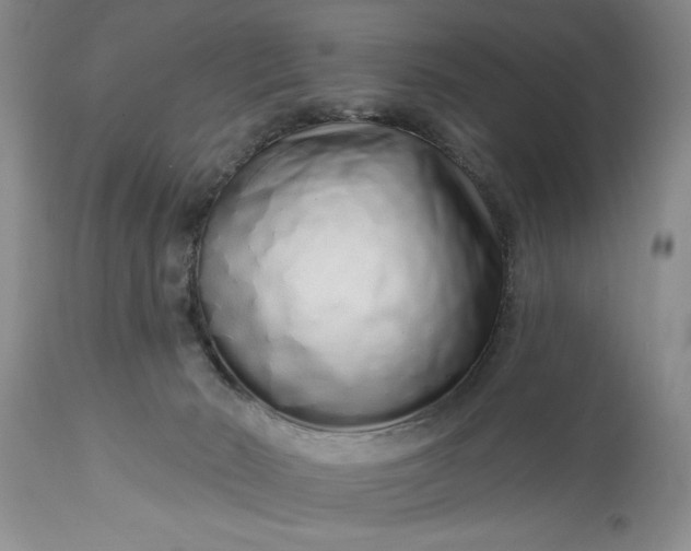 X0000114200030200910231353