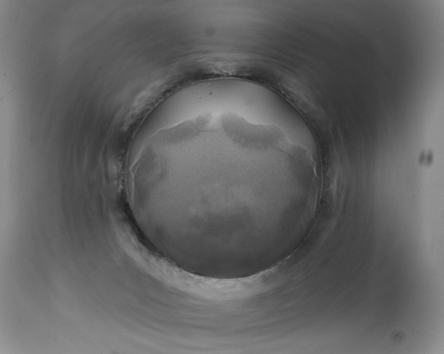 X0000114200031200910231353