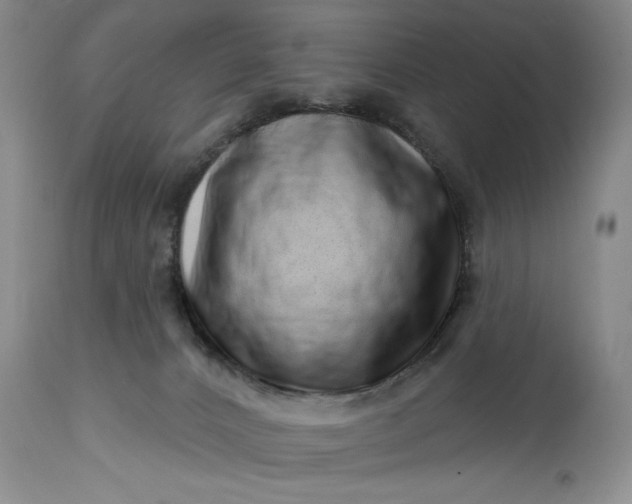 X0000114200032200910231353