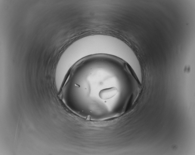 X0000114200033200910231353