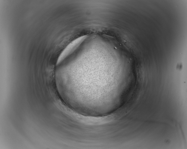 X0000114200034200910231353