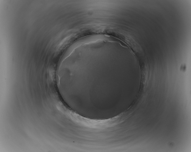 X0000114200035200910231353