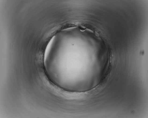 X0000114200036200910231353