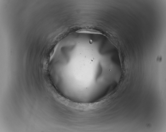 X0000114200037200910231353