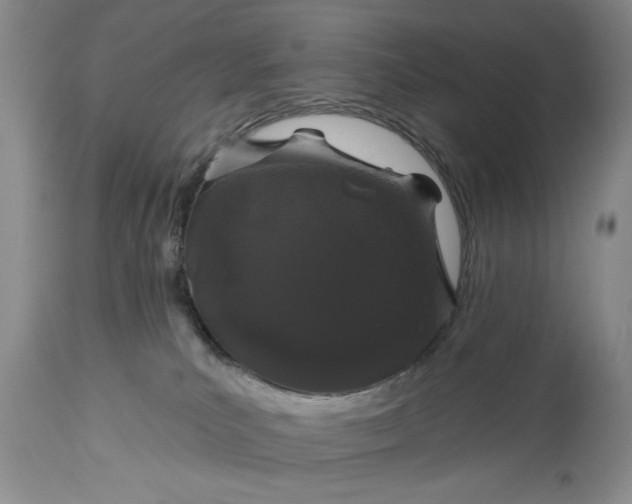 X0000114200039200910231353