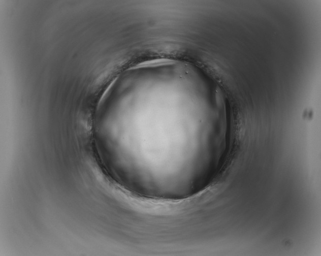 X0000114200040200910231353