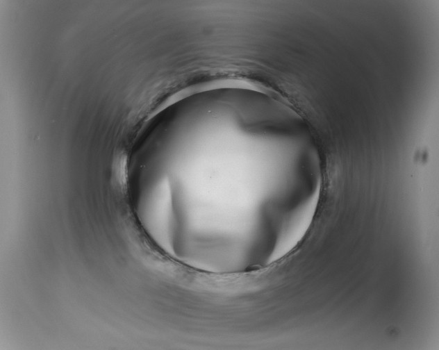 X0000114200041200910231353