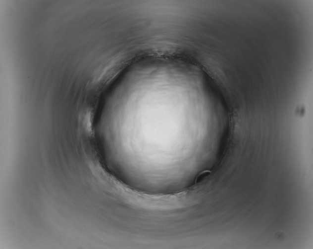 X0000114200042200910231353