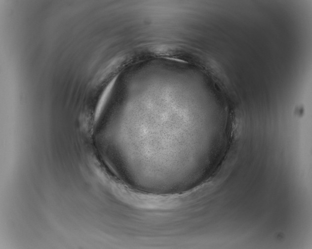 X0000114200044200910231353