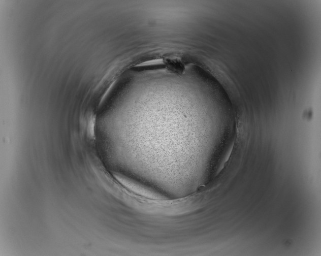 X0000114200046200910231353