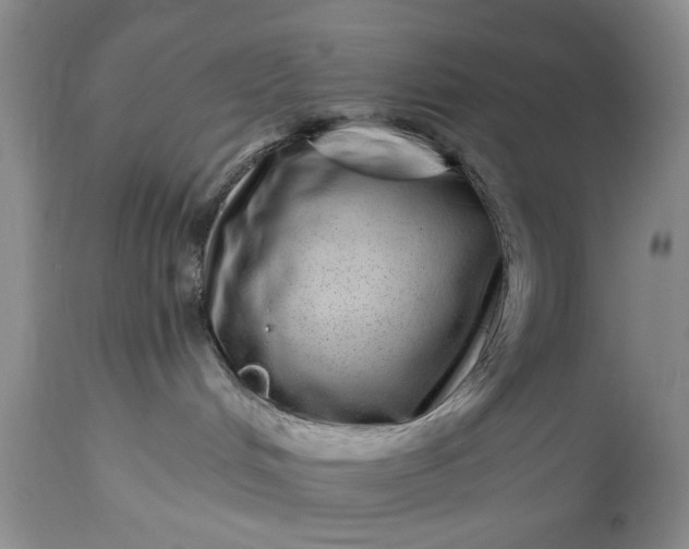 X0000114200048200910231353