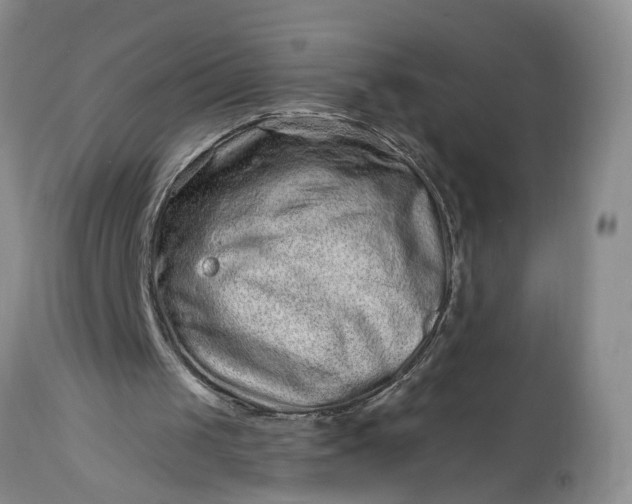 X0000114200049200910231353