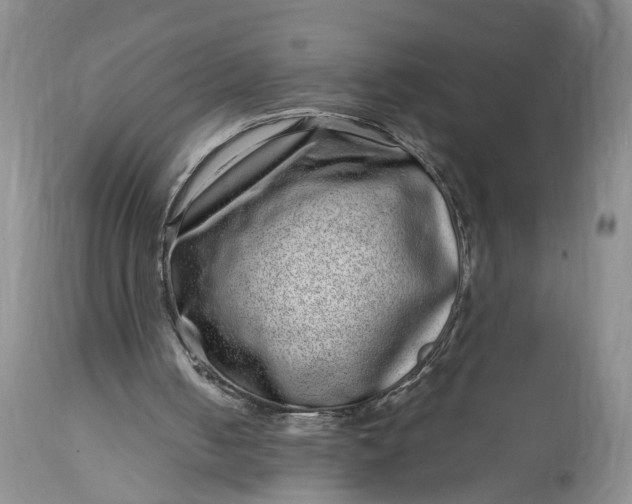 X0000114200050200910231353