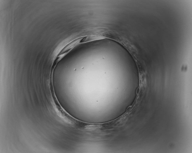 X0000114200051200910231353