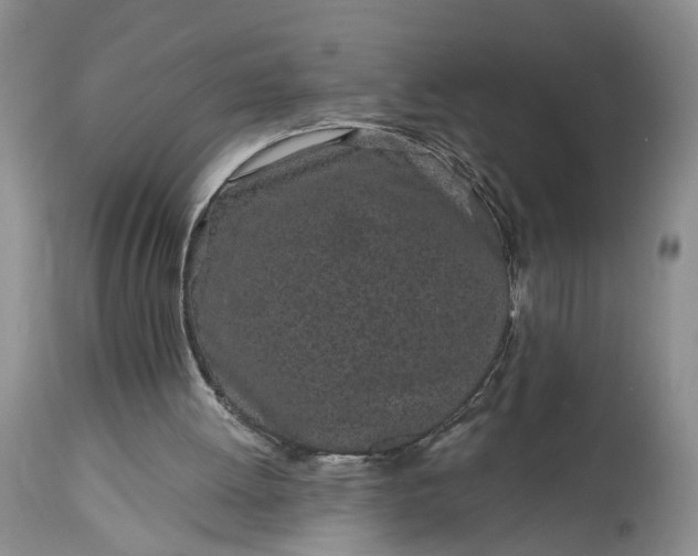 X0000114200052200910231353