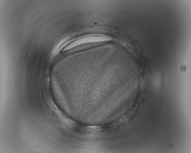 X0000114200053200910231353