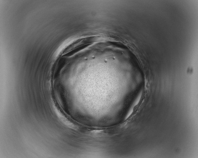 X0000114200054200910231353