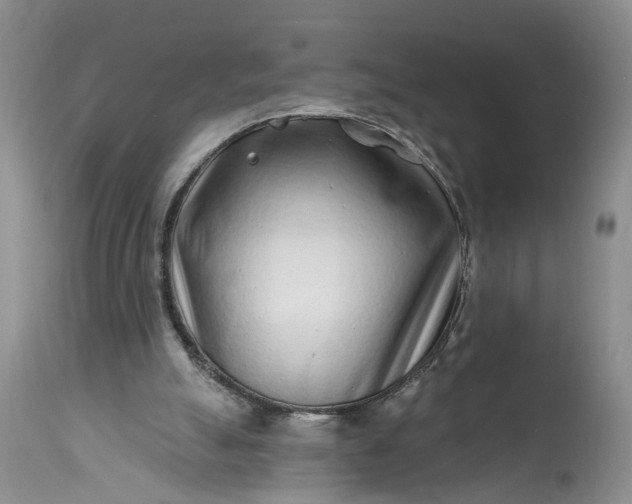 X0000114200055200910231353