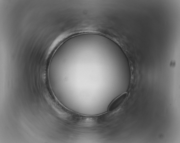 X0000114200056200910231353