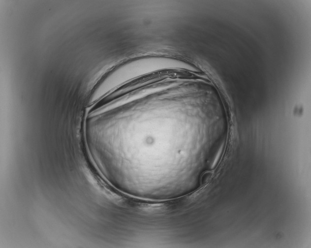 X0000114200058200910231353