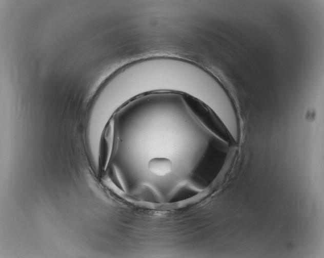 X0000114200060200910231353