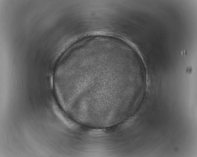 X0000114200061200910231353