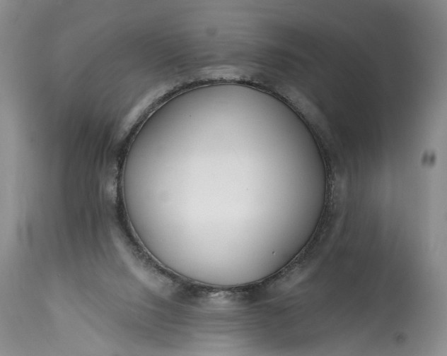 X0000114200064200910231353