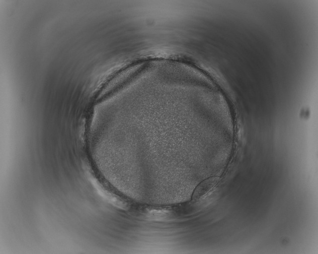 X0000114200066200910231353