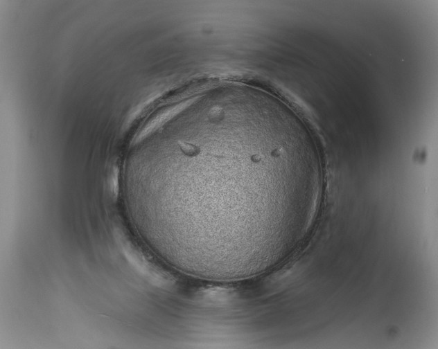 X0000114200067200910231353