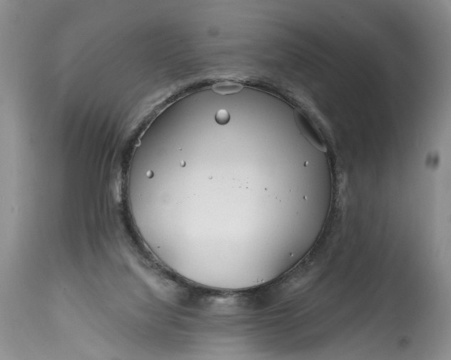 X0000114200068200910231353