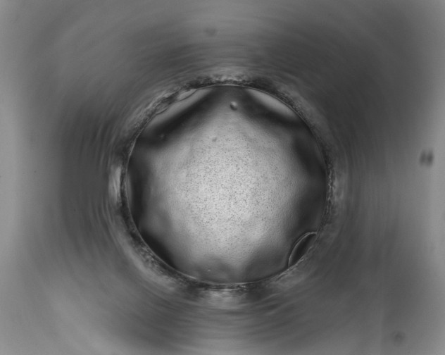 X0000114200070200910231353