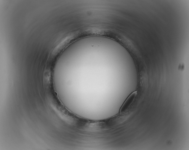 X0000114200072200910231353