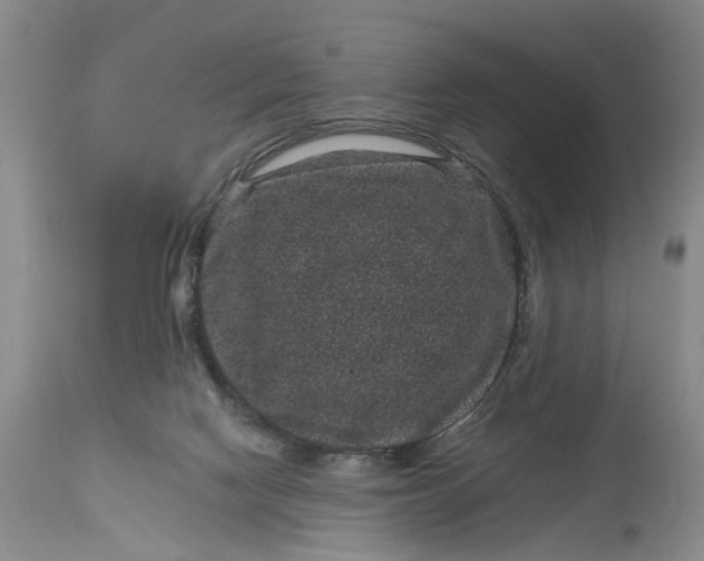 X0000114200074200910231353