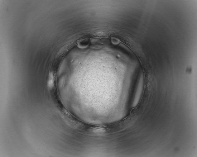 X0000114200075200910231353