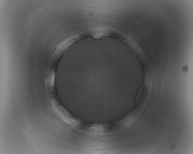 X0000114200076200910231353