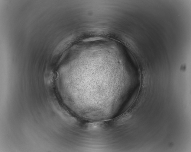 X0000114200077200910231353