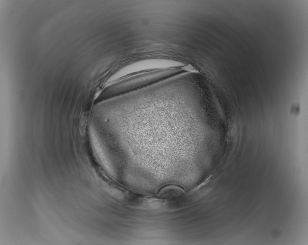 X0000114200078200910231353