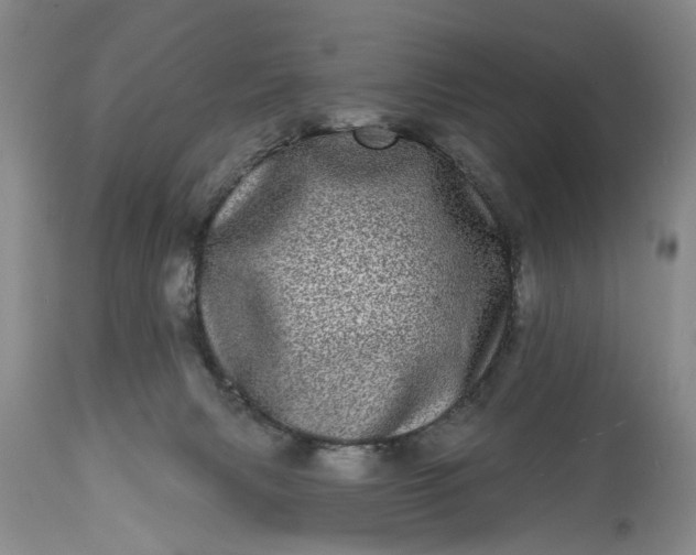 X0000114200079200910231353