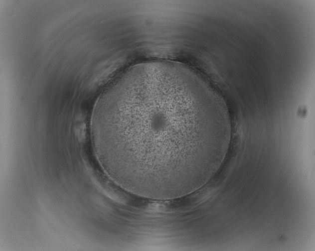 X0000114200080200910231353