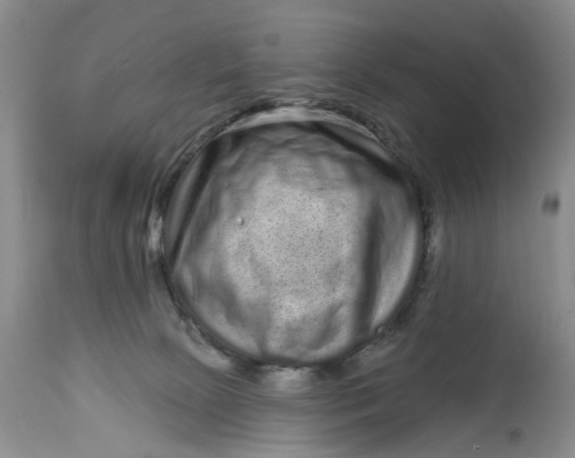 X0000114200081200910231353