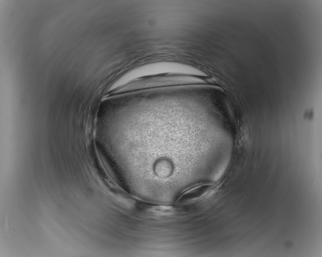 X0000114200082200910231353