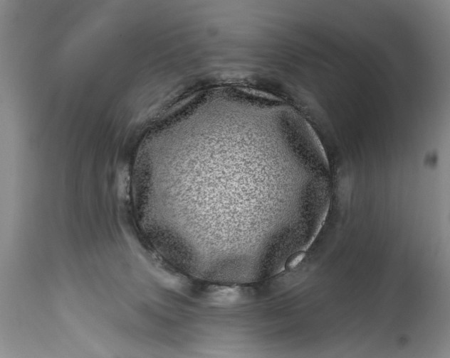 X0000114200083200910231353